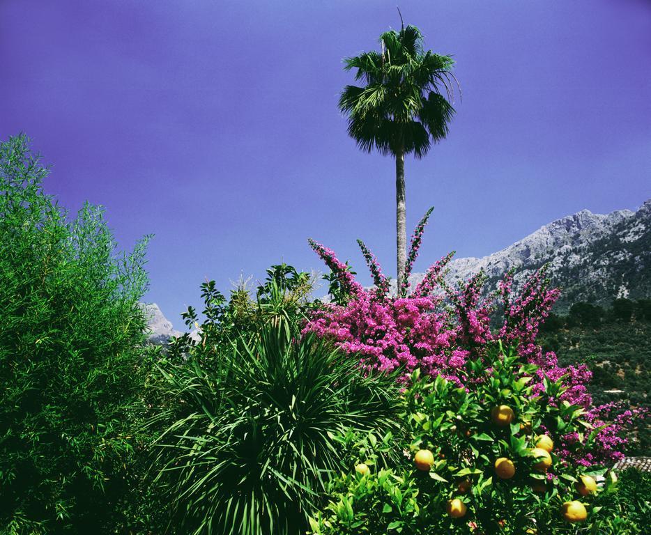 Hotel Can Verdera (Adults Only) Fornalutx Exterior photo